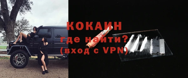 сатива Костерёво