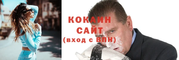 сатива Костерёво