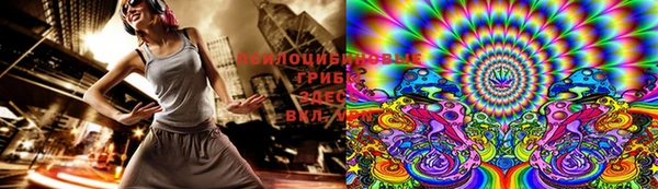 mdpv Козловка