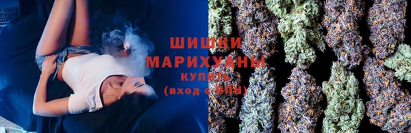 сатива Костерёво