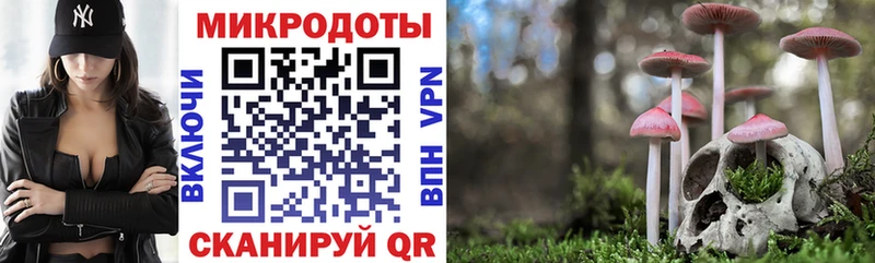 mega онион  Кяхта  Псилоцибиновые грибы мицелий 